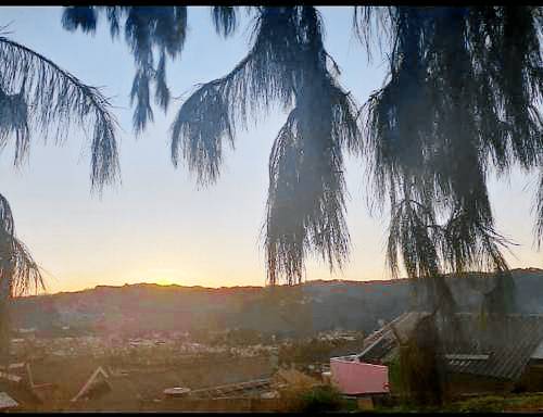 foto6