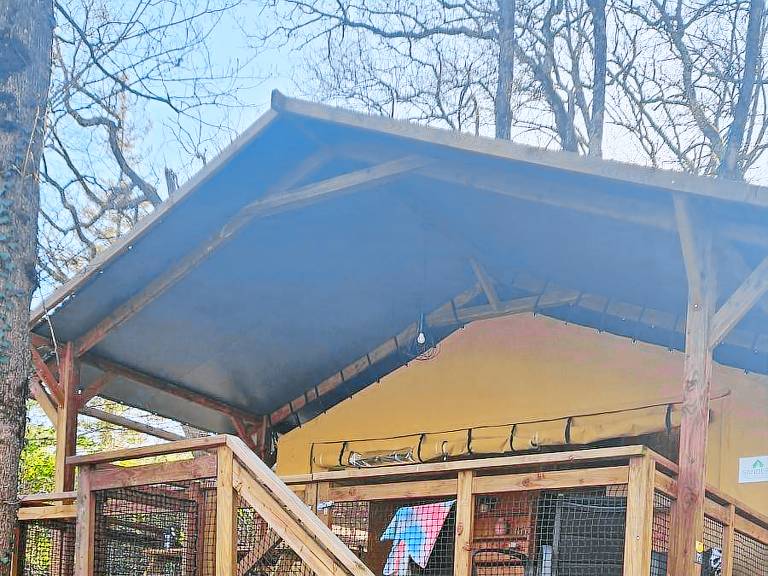 Cabin with pool & patio | Nature view — photo 4