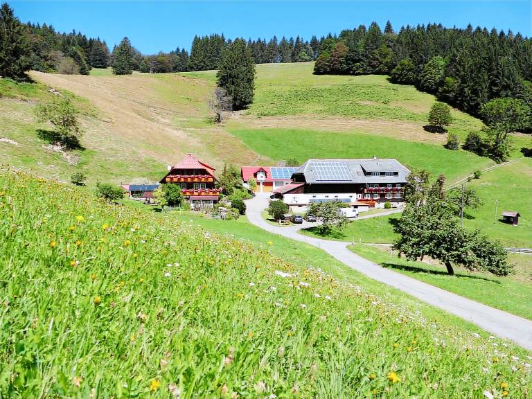 Ferienwohnung Münstertal/Schwarzwald