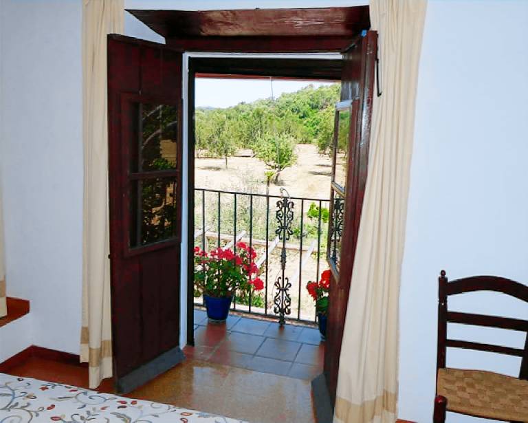 foto4