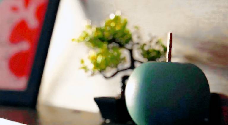 Rental apartment | Dogs allowed in Varna