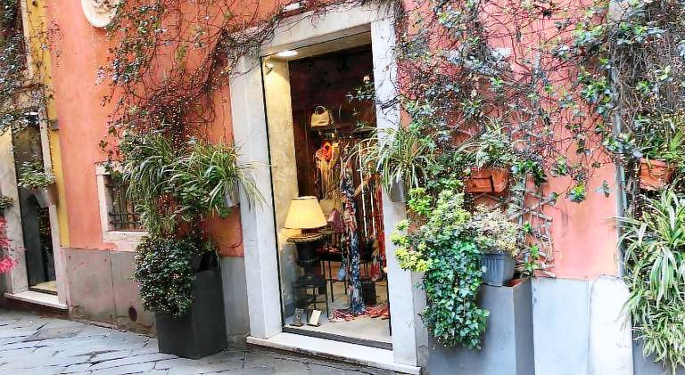 Beautiful rental apartment | Dogs allowed — photo 3