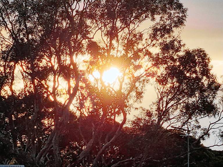House Shellharbour