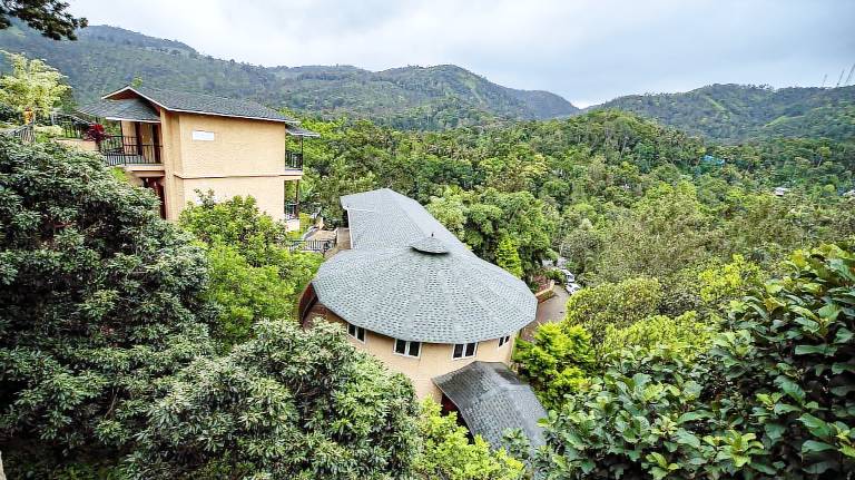THE VIOLET THEKKADY