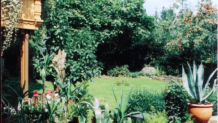 foto1