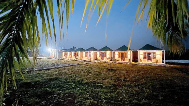 Wild Planet Corbett