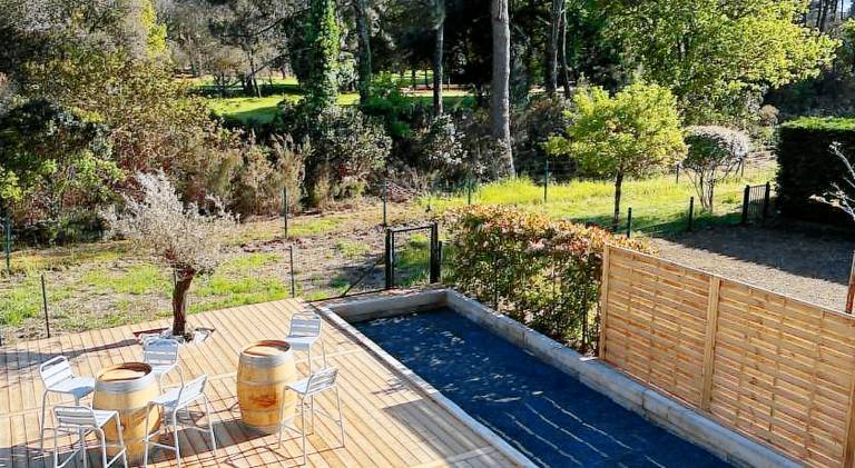 House with pool — photo 4