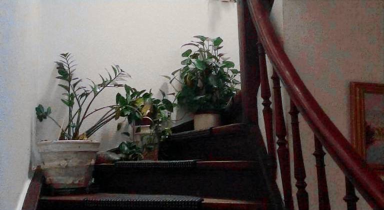 Pension Lefebvre — photo 2