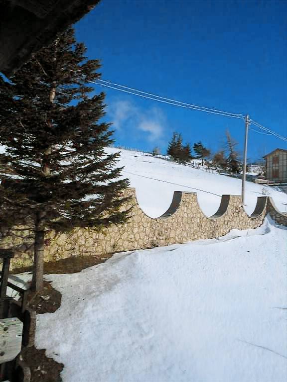 Family-friendly wonderful villa with yard | Close to the ski | Pets are welcome — photo 5