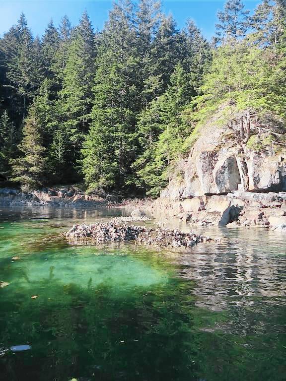 Cabin Cortes Island