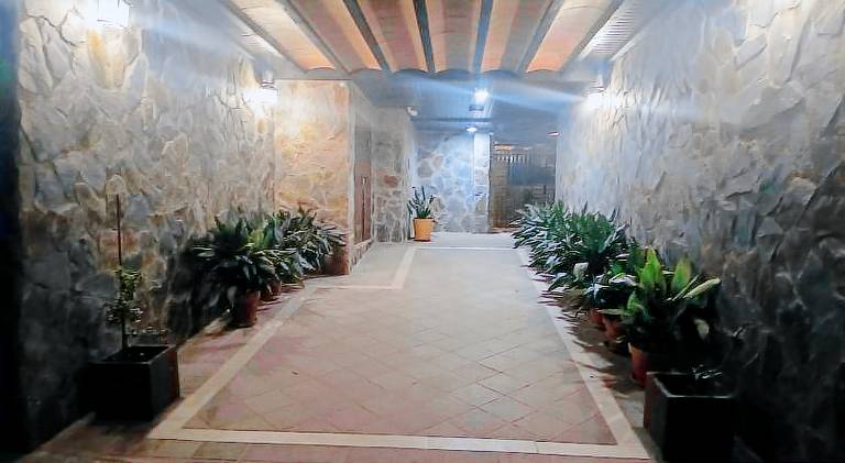 Rental apartment with terrace — photo 5