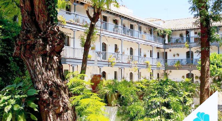 Apartment | Next to Seville Cathedral | Pet-friendly in Seville