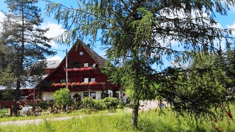 Ferienwohnung  Titisee-Neustadt