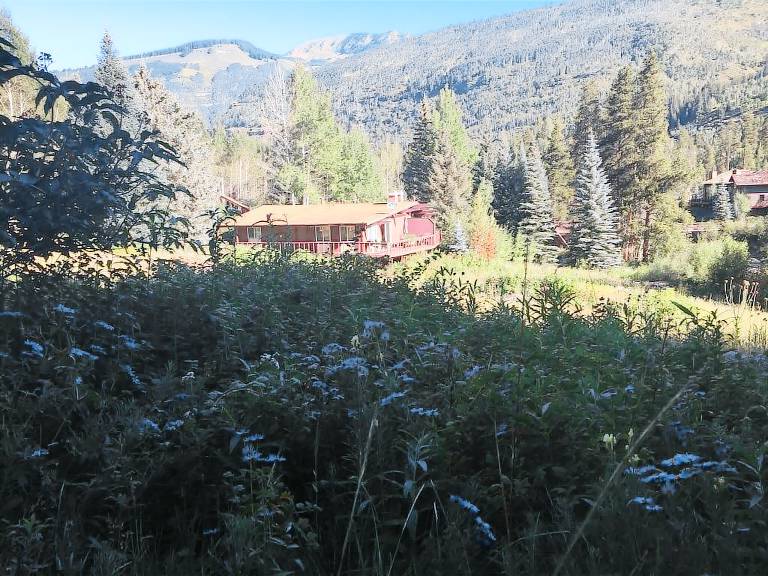 Cabin Vail