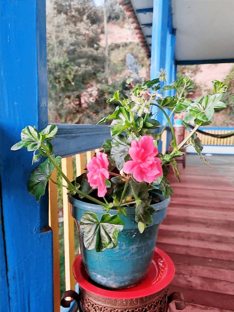 Casa Campestre Colonial Peñaflor — photo 2