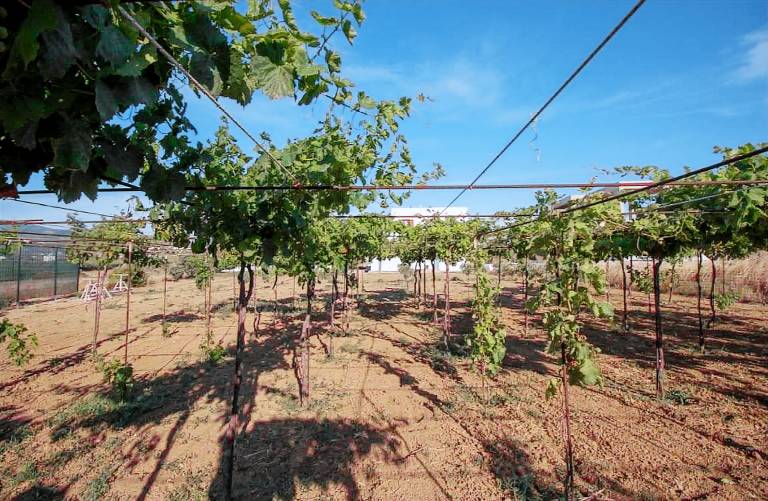 Villa Naxos