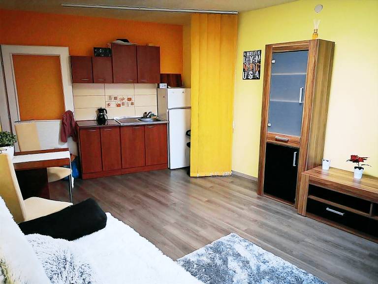 Apartment with 1 room for 4 persons — photo 3