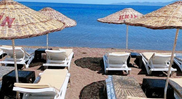 Ekin Assos — photo 4