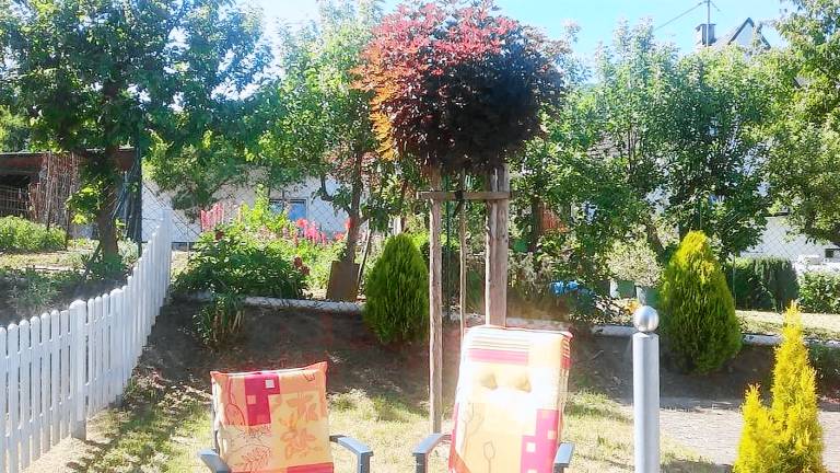 foto2