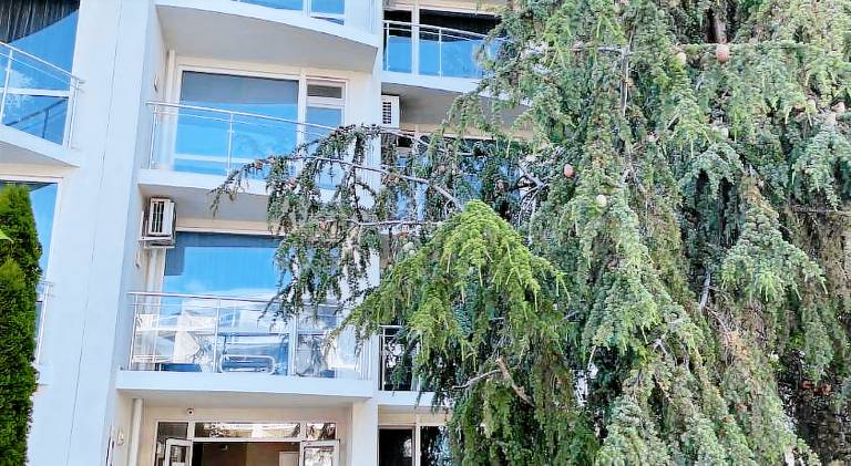 Holiday apartment with pool | Close to the beach | Pets allowed — photo 3
