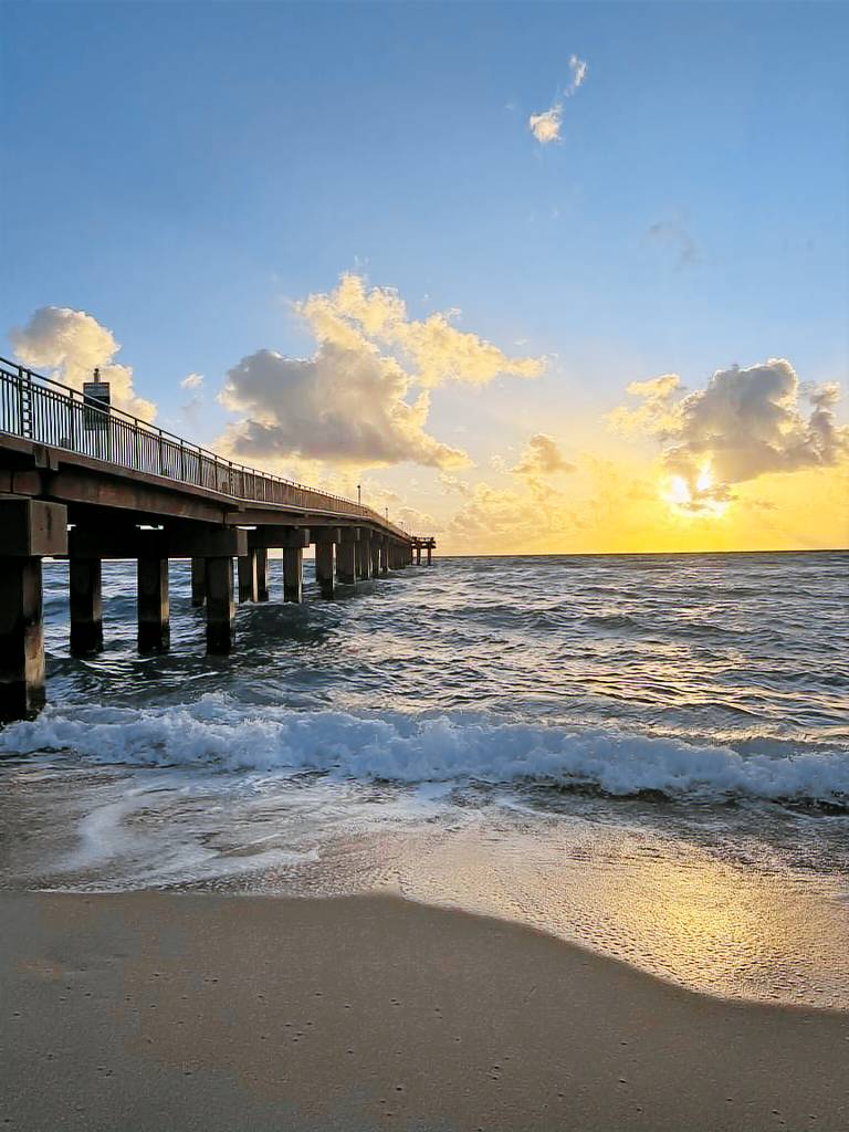 Hus  North Miami Beach