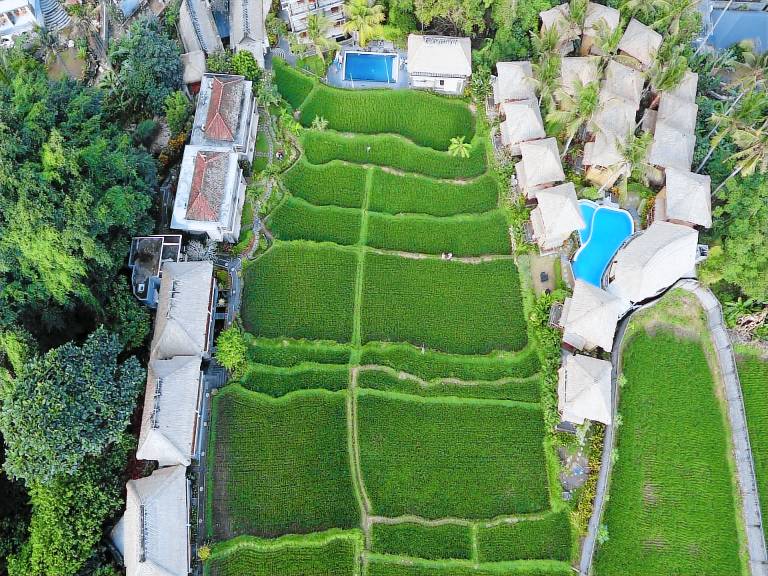 Biyukukung Suites & Spa in Ubud