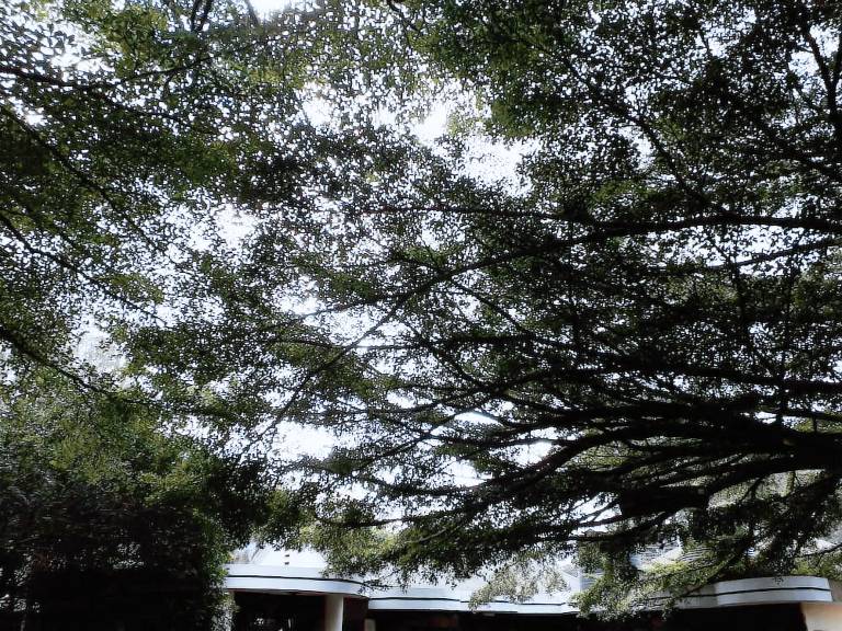 Bed & Breakfast  Ngara West