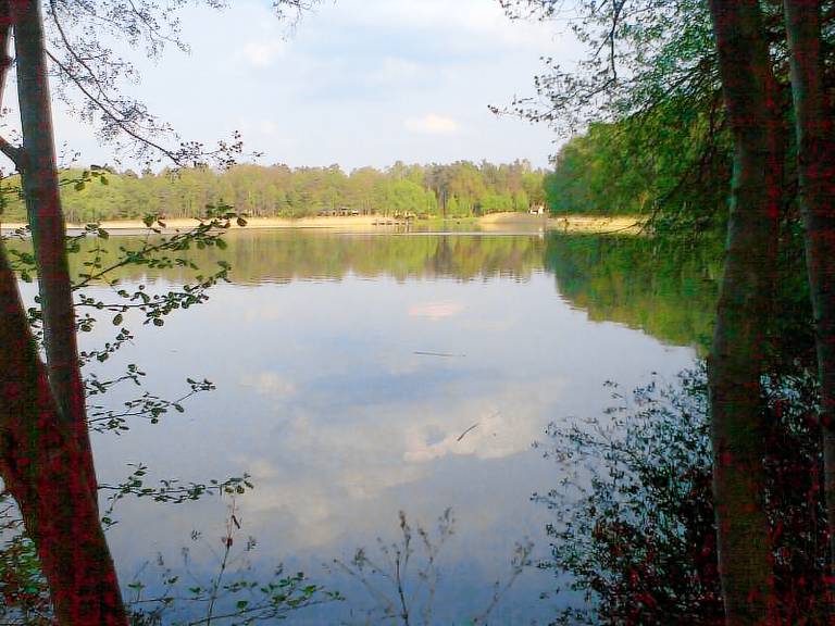 foto2