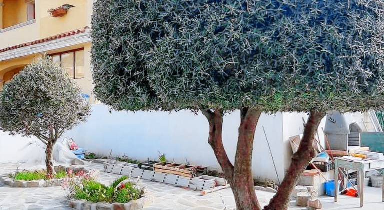 Holiday apartment with terrace — photo 4