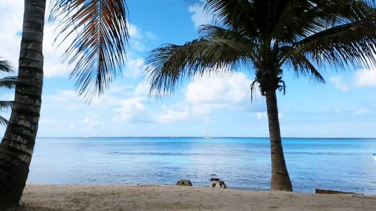 Apartment  Dominicus