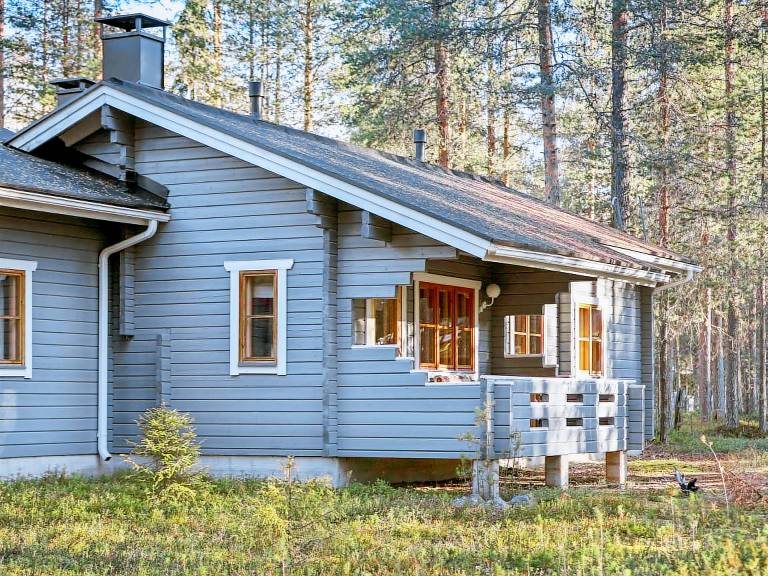 Nice vacation home with sauna | Pets are welcome — photo 3