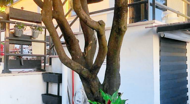 Cantinho da Susana — photo 4