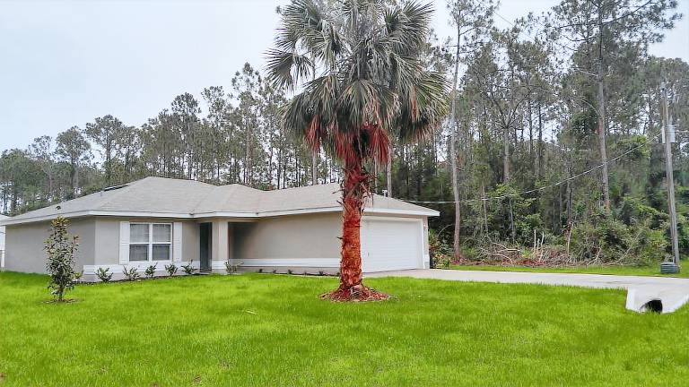 House Palm Coast