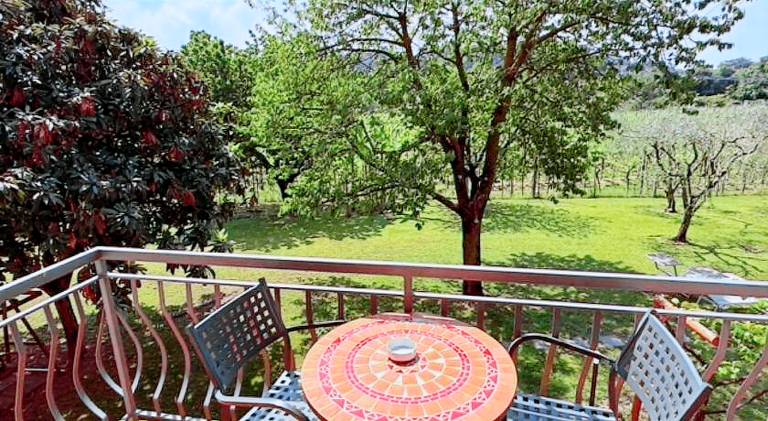 Rental apartment with pool, yard & terrace | Pets are welcome — photo 4