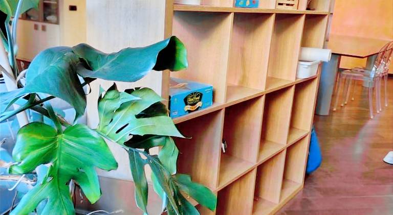 Rental apartment with 1 room for 2 persons — photo 4