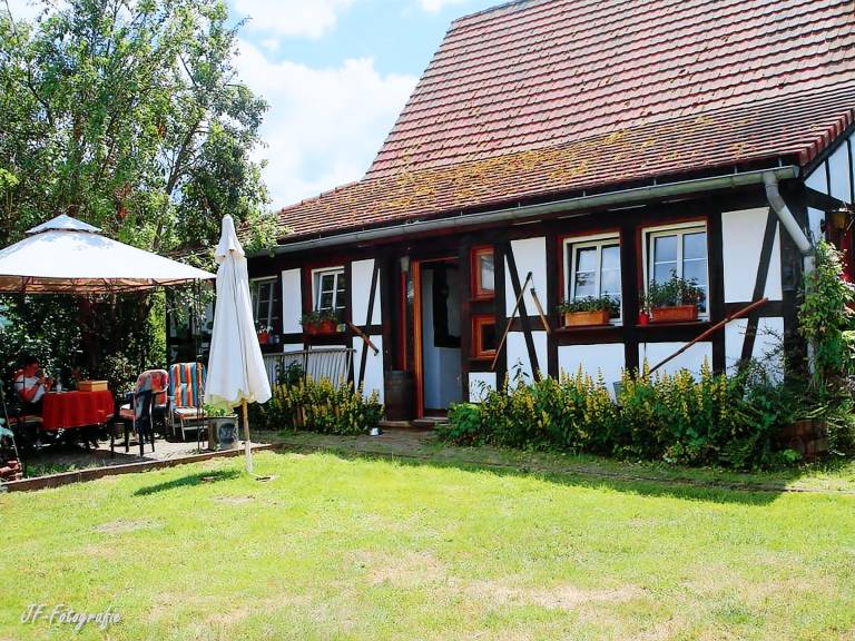 Holiday apartment with barbeque, terrace & yard | Garden view — photo 2