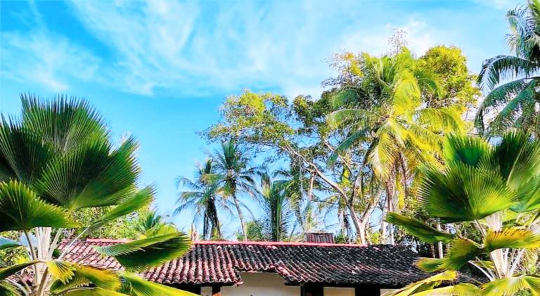 House with patio & yard in Cairu