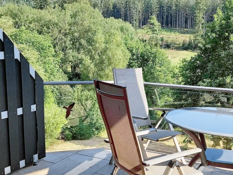 Ferienwohnung Mossautal
