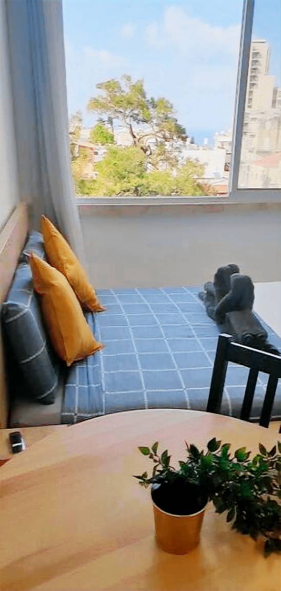 Apartment  Haifa