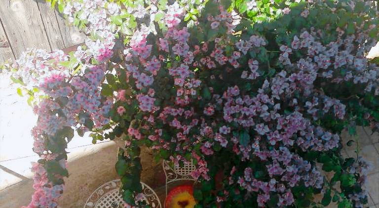 Holiday apartment with 1 room for 2 persons — photo 4
