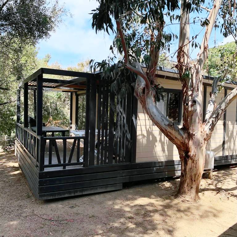 Chalet Olmeto