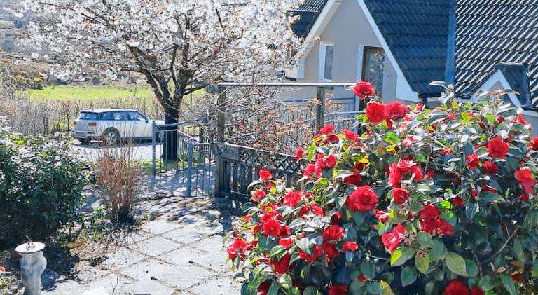 195 m&sup2; Ferienhaus