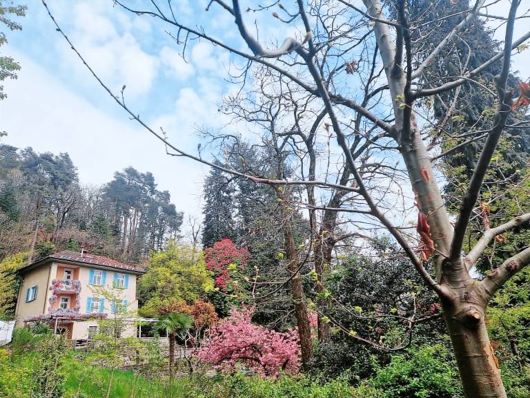 Ferienhaus  Locarno