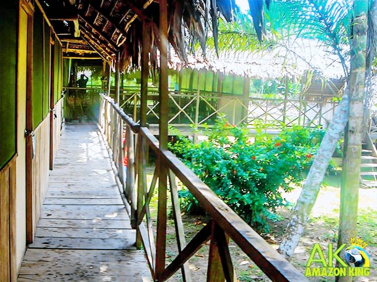 Lodge  Iquitos