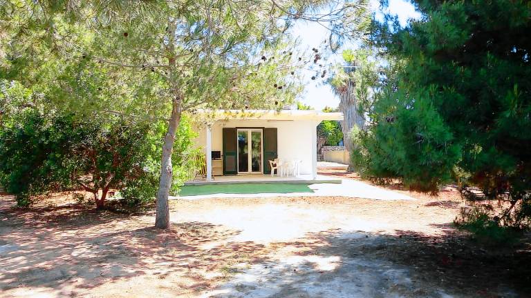 House with patio & yard | Pet-friendly — photo 2