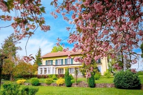Bed and breakfast  Leonding