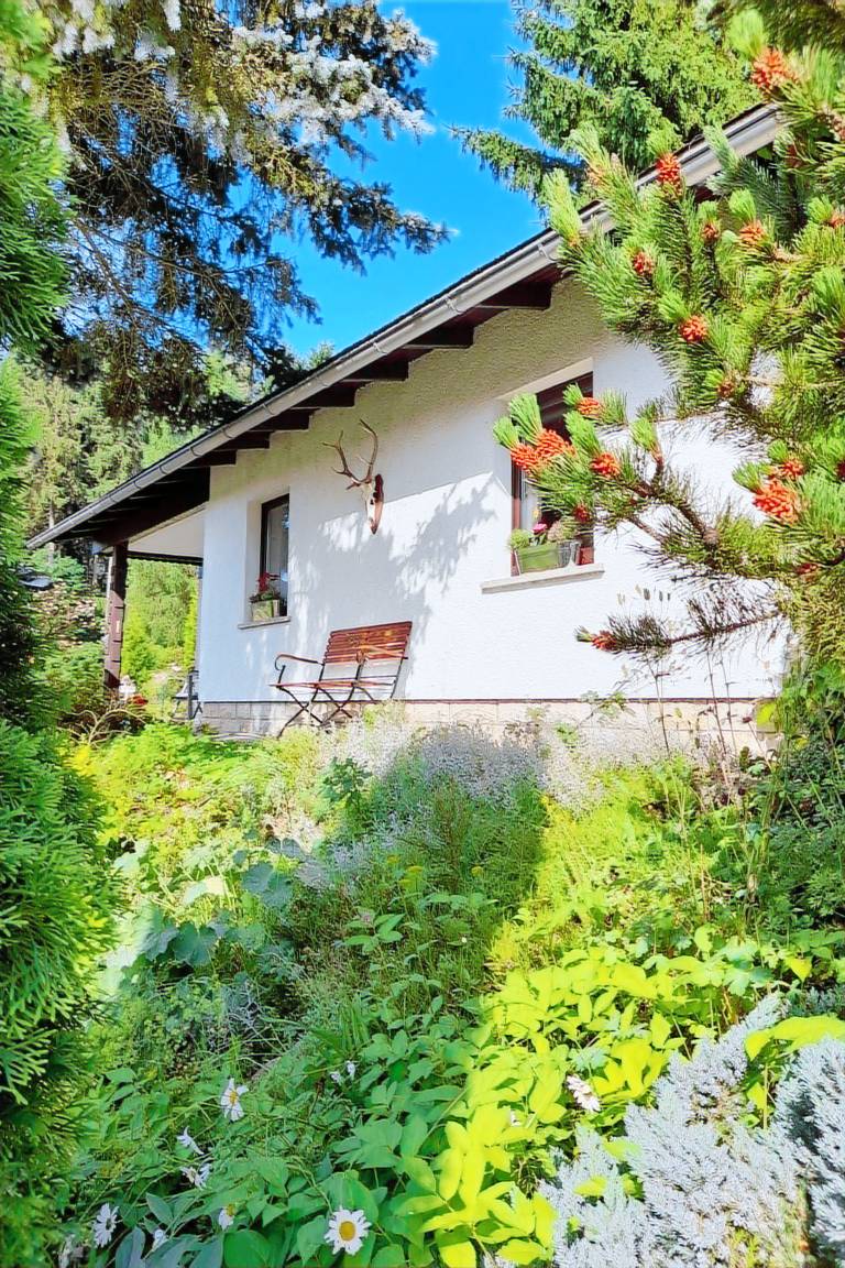 House with yard, patio & barbecue | Nature view — photo 4