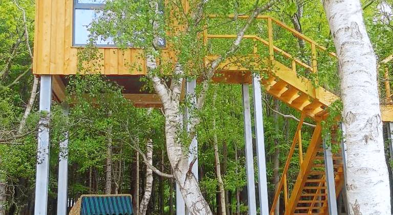 Kleines Baumhaus fur Zwei