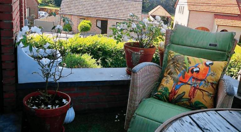 Pleasant rental apartment | Pets are welcome — photo 3