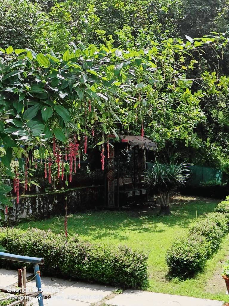 House Aanu